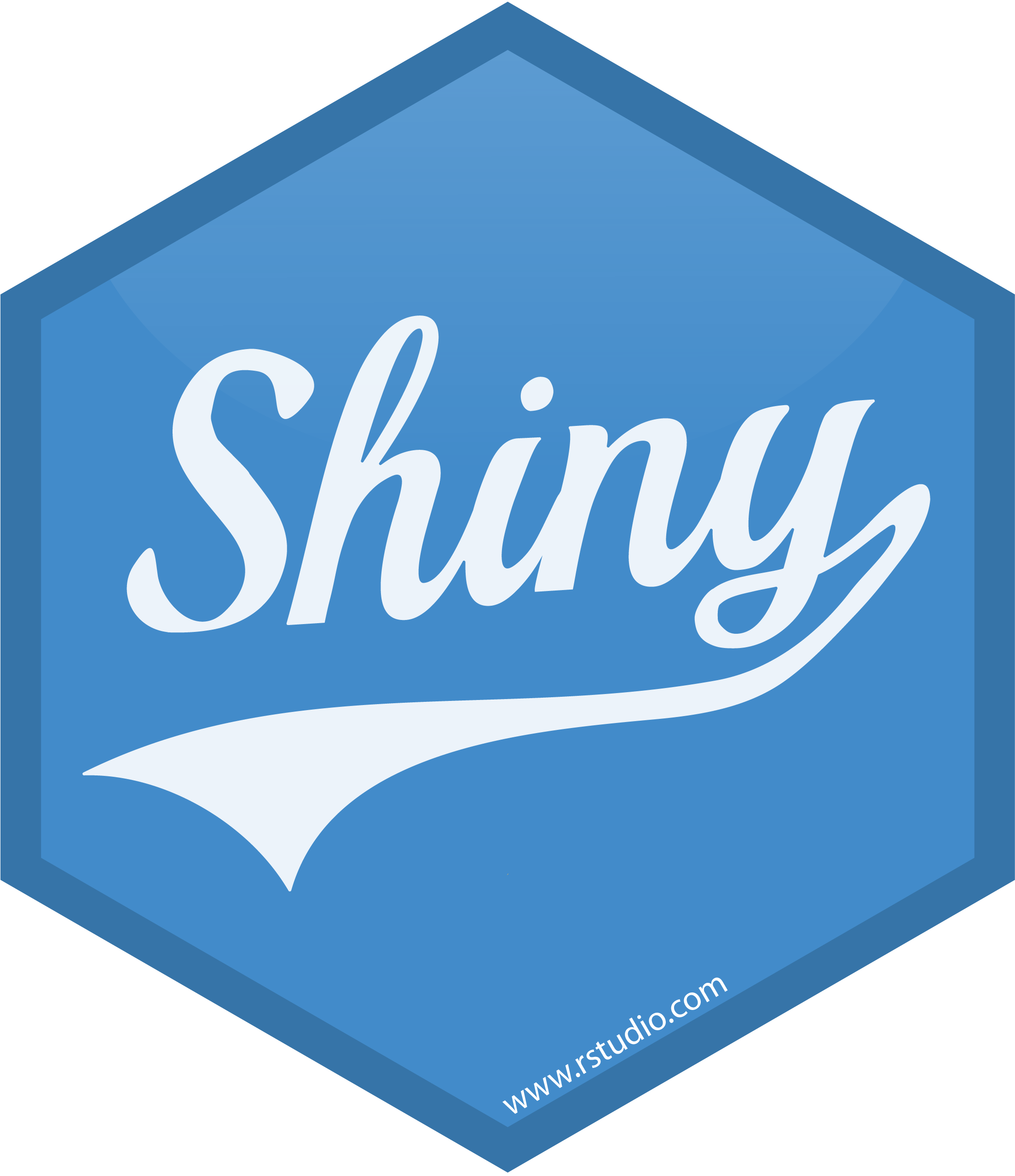 Shiny icon